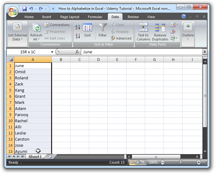 如何在Excel  -  Udemy教程2中以字母顺序排列